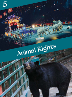 A5 Animal Rights