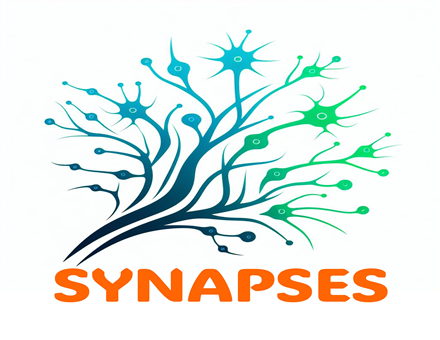 13 05 2025 Synapses logo